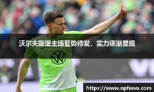 沃尔夫斯堡主场蓄势待发，实力逐渐显现