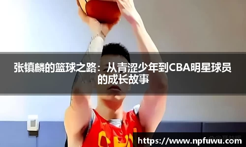 金年会