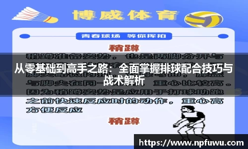从零基础到高手之路：全面掌握排球配合技巧与战术解析