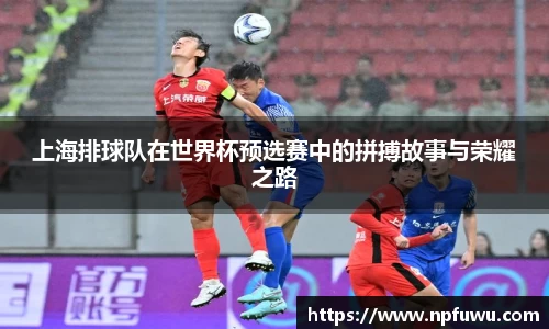 上海排球队在世界杯预选赛中的拼搏故事与荣耀之路